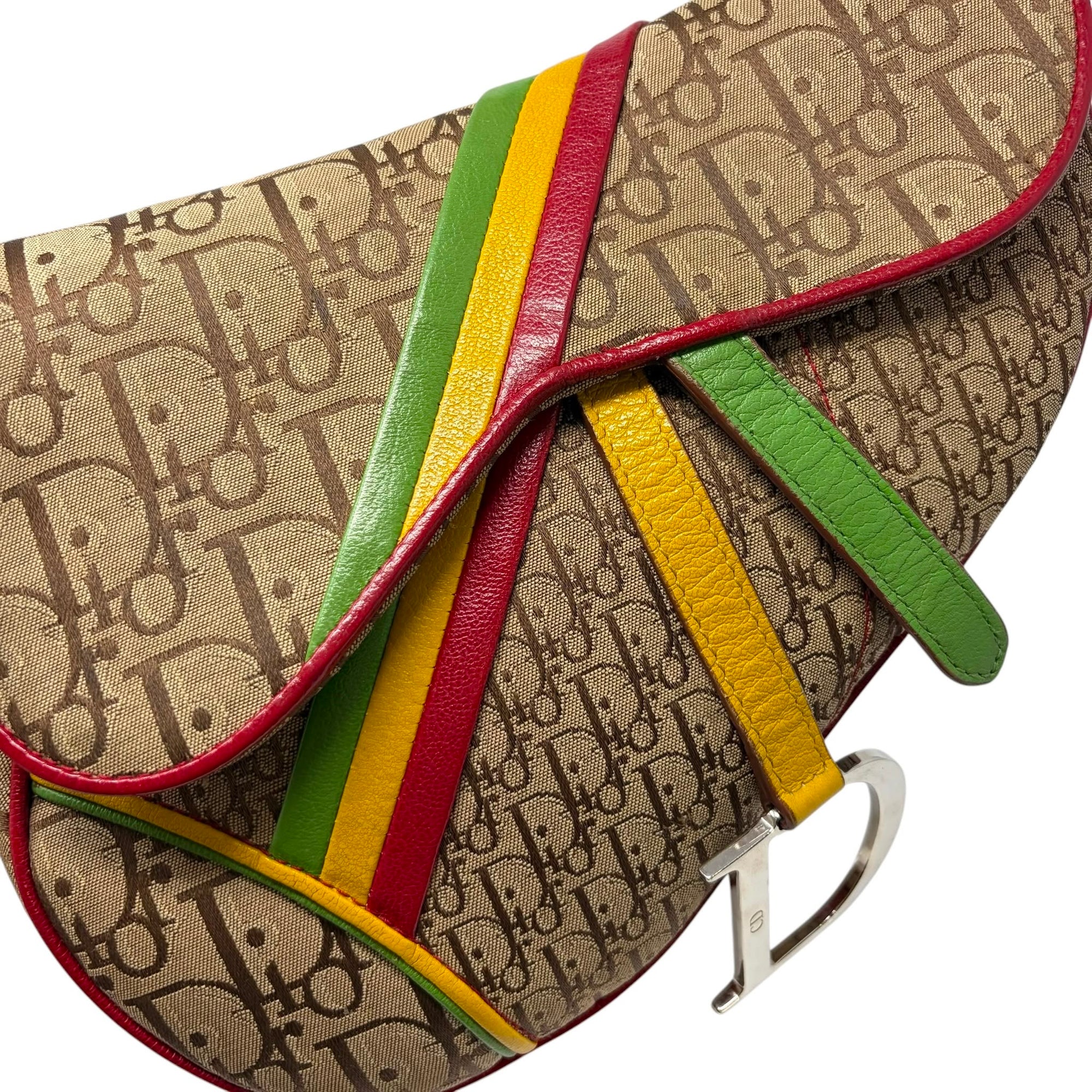 Dior Rasta Canvas Saddle Bag