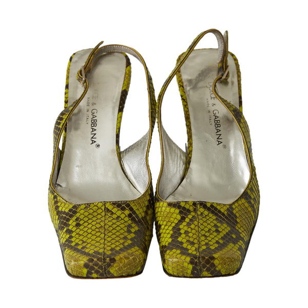 Dolce & Gabbana Green Snakeskin Block Heels