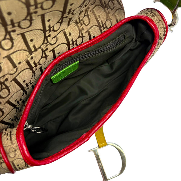Dior Rasta Canvas Saddle Bag