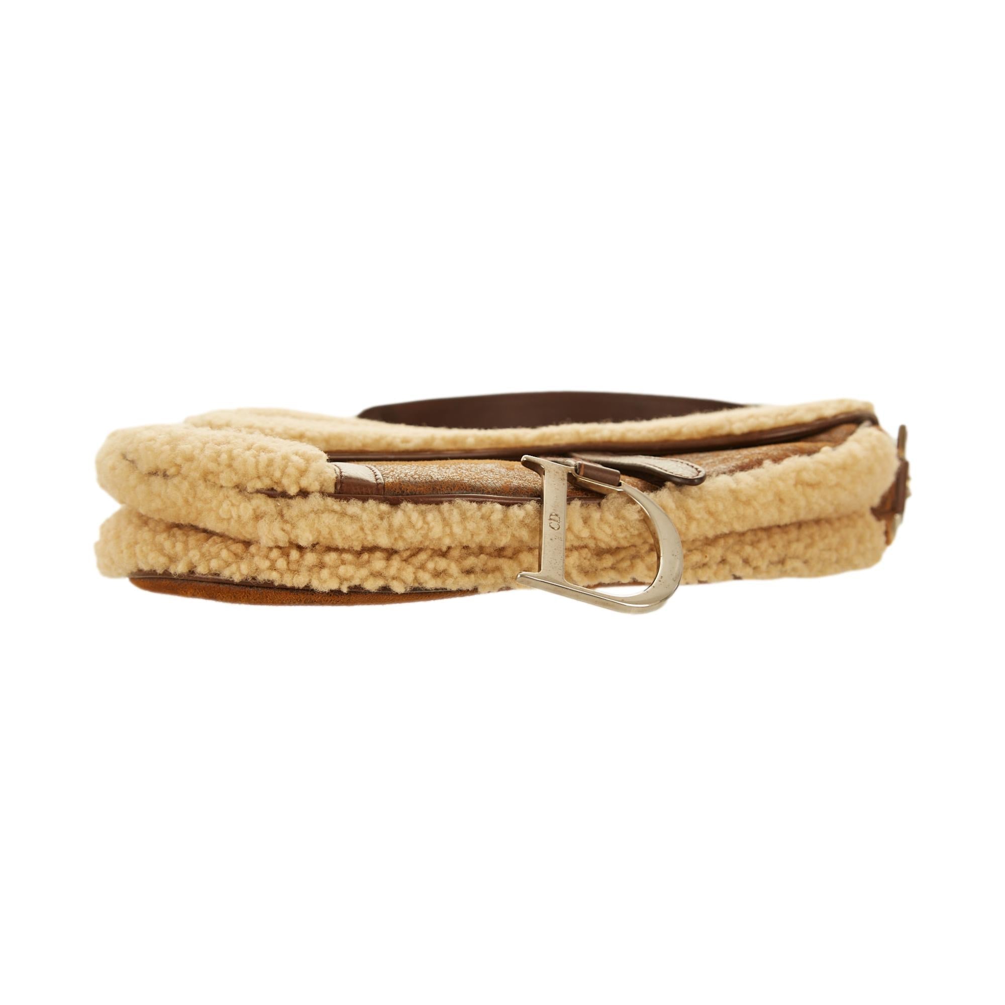 Dior Sherpa Leather Saddle Bag