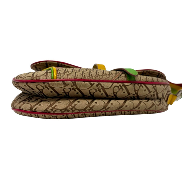 Dior Rasta Canvas Saddle Bag