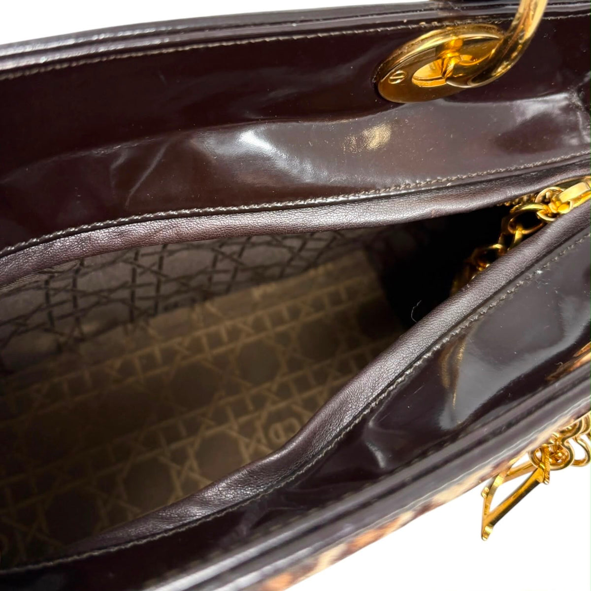 Dior Cheetah Print Calf Hair Lady Bag