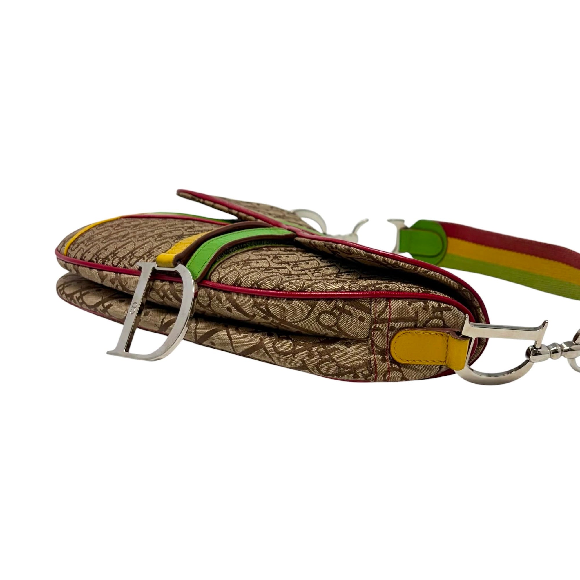 Dior Rasta Canvas Saddle Bag