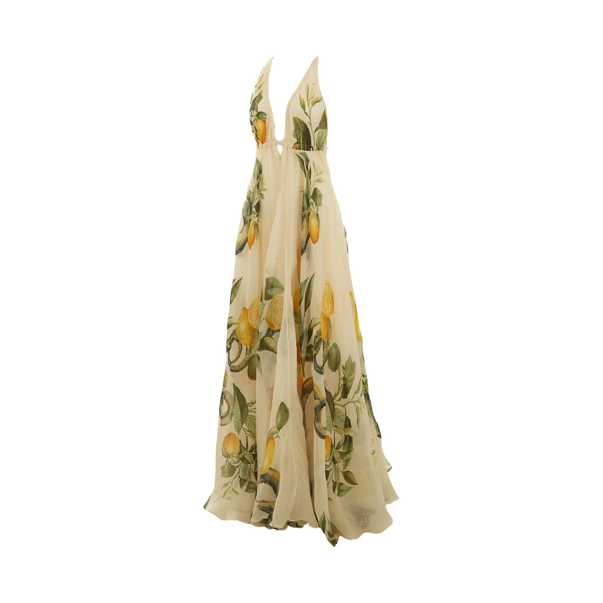 roberto cavalli dresses Tiger-Print Silk Maxi Dress in Brown for Women