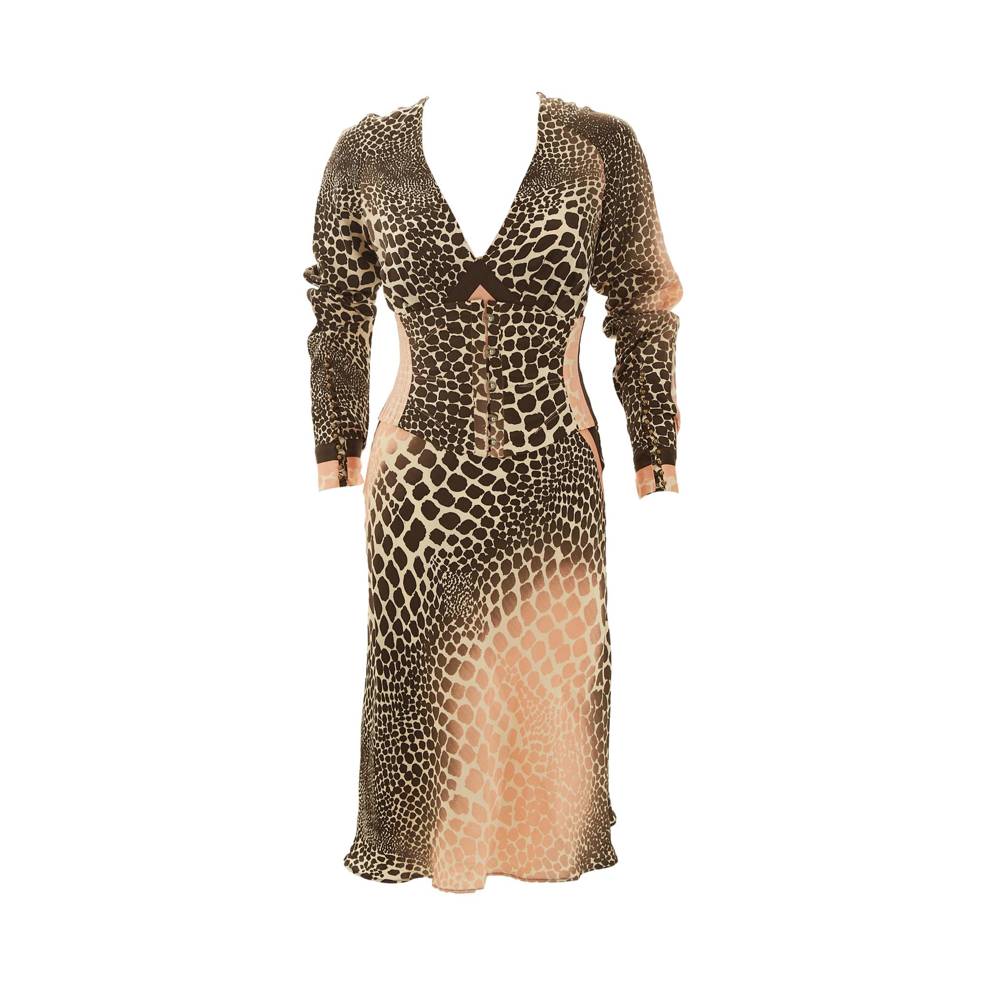 Roberto Cavalli Pink Cheetah Print Corset Dress Set