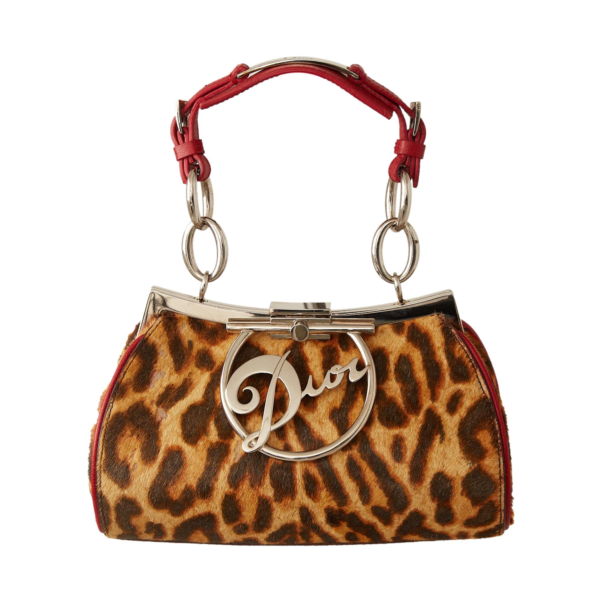 Dior Cheetah Print Mini Bag