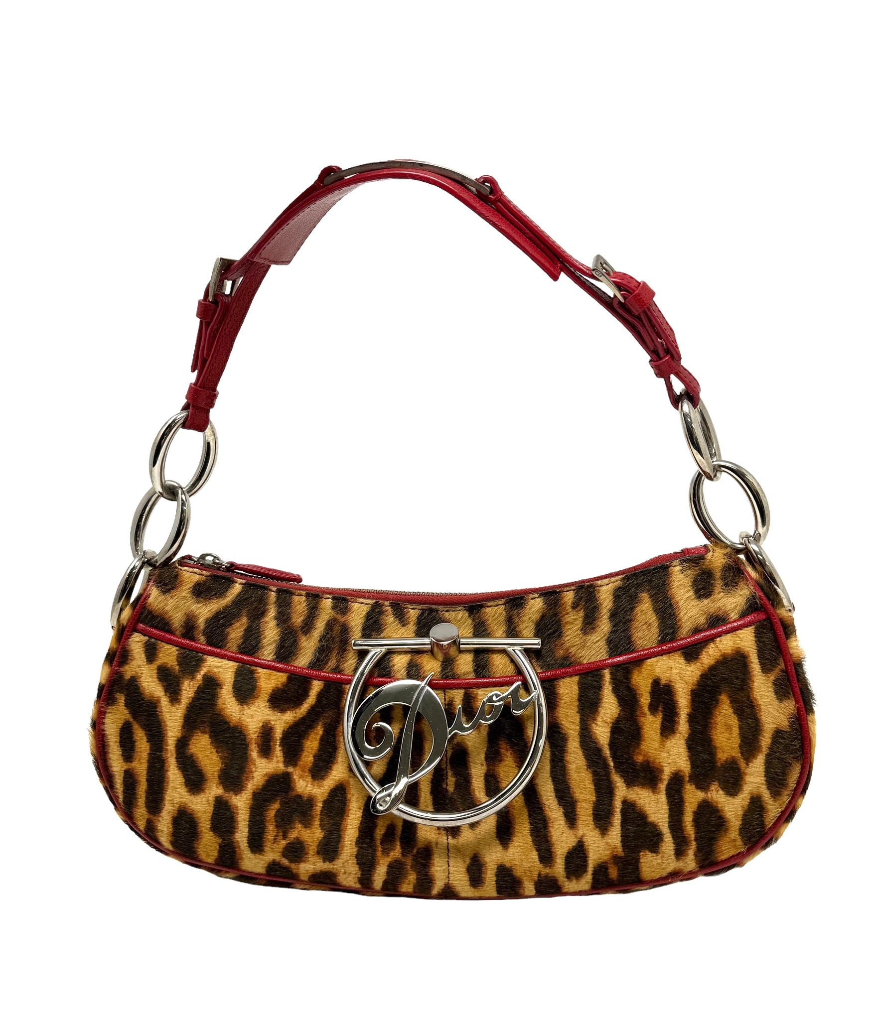 Dior Cheetah Print Logo Hardware Mini Shoulder Bag
