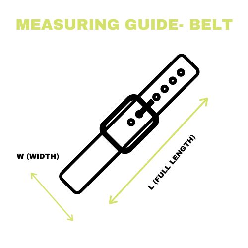 Treasures of NYC Burberry Navy Belt Bag - Main Image