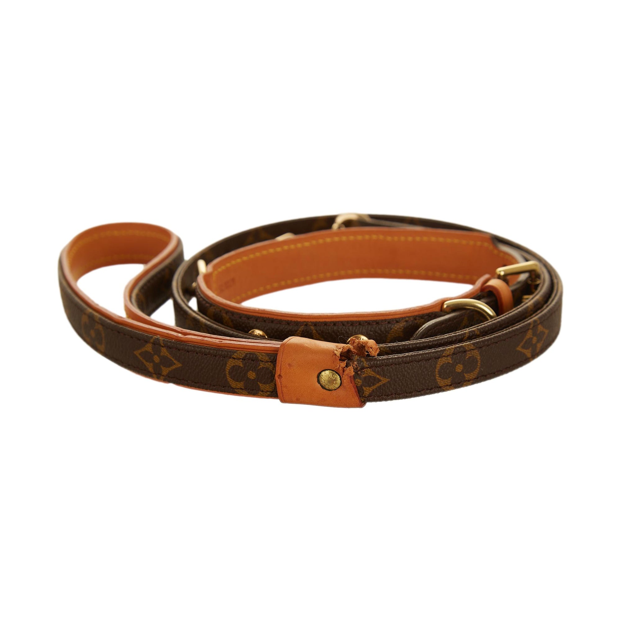 Louis Vuitton Dog Collar and Leash -  Sweden
