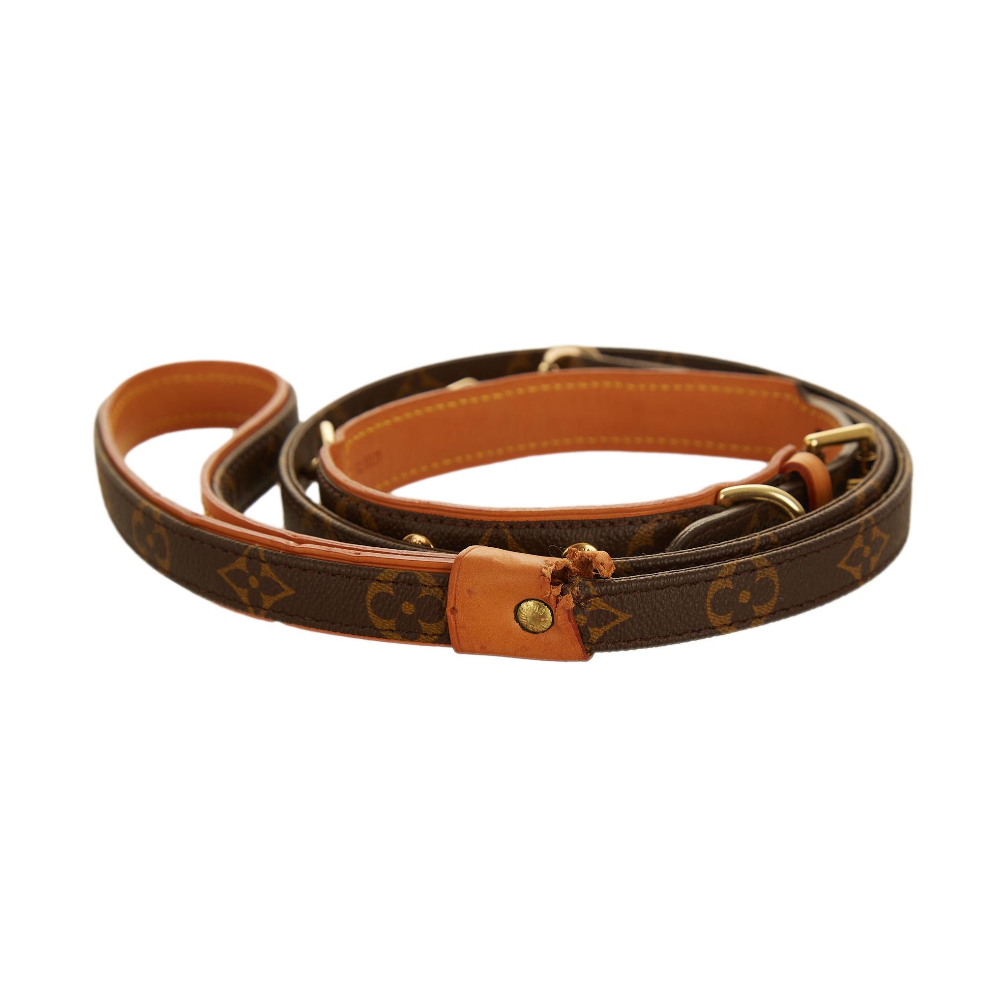 Louis Vuitton Dog Collar and Leash 