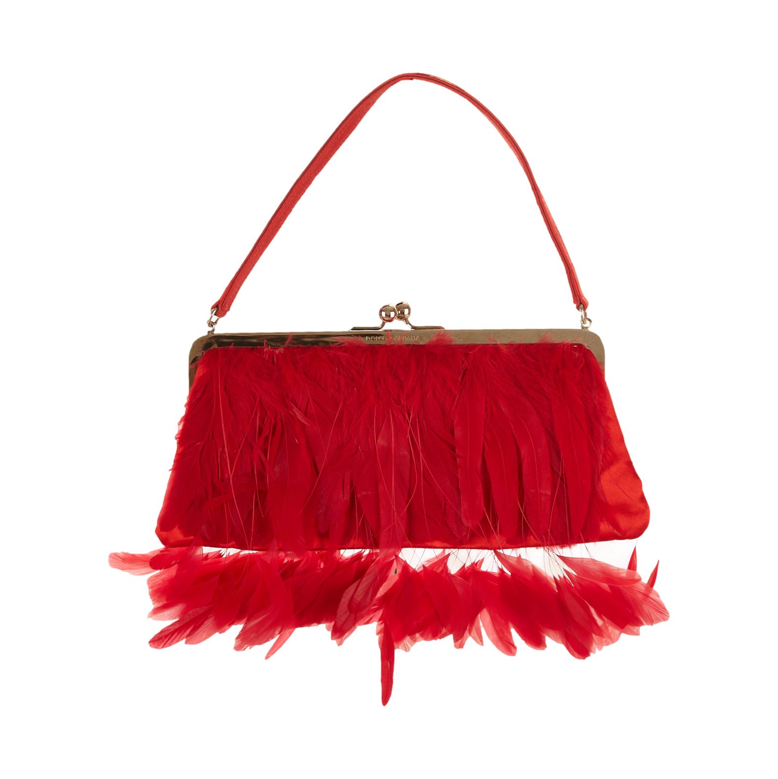 Dolce & Gabbana Red Feather Bag
