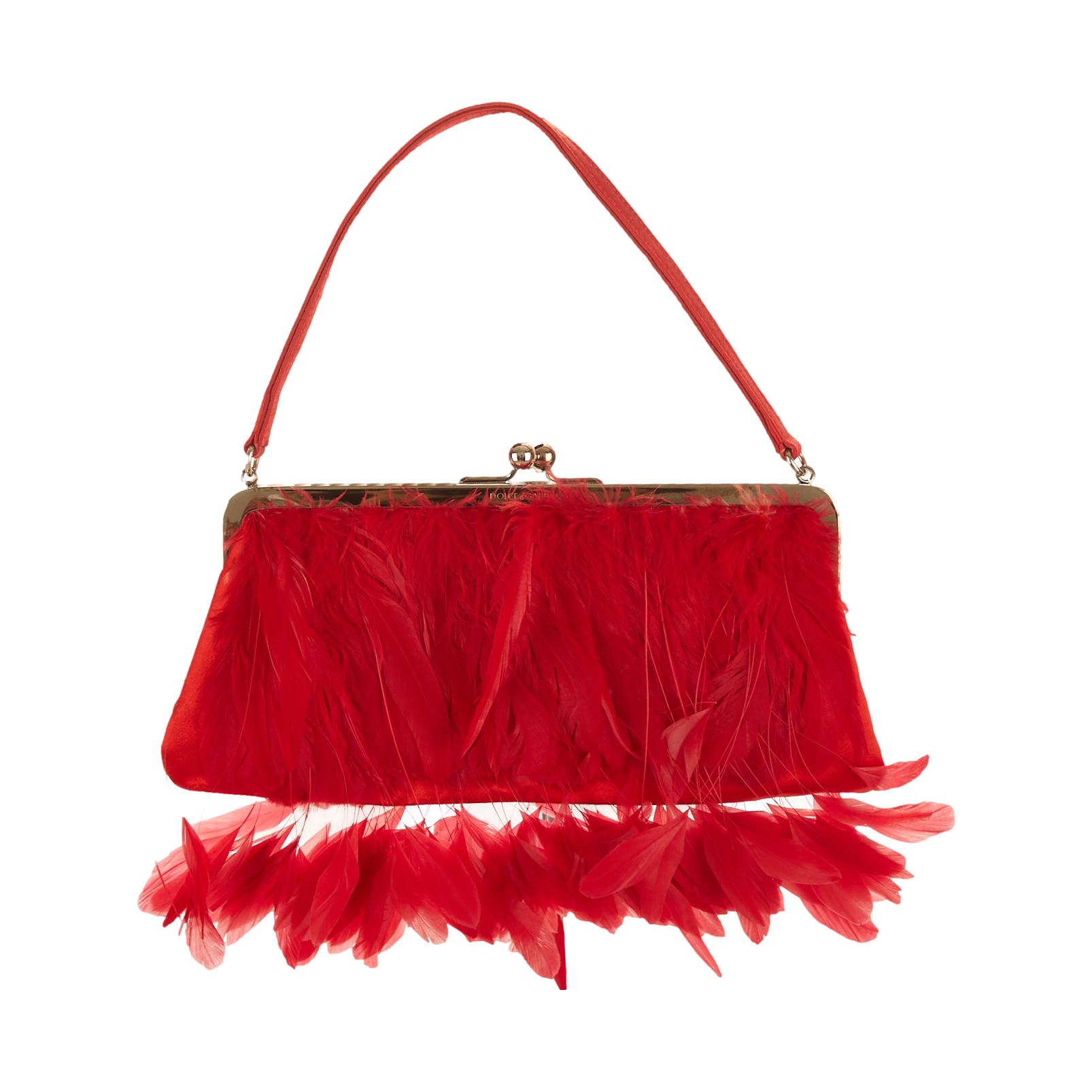 Dolce & Gabbana Red Feather Bag
