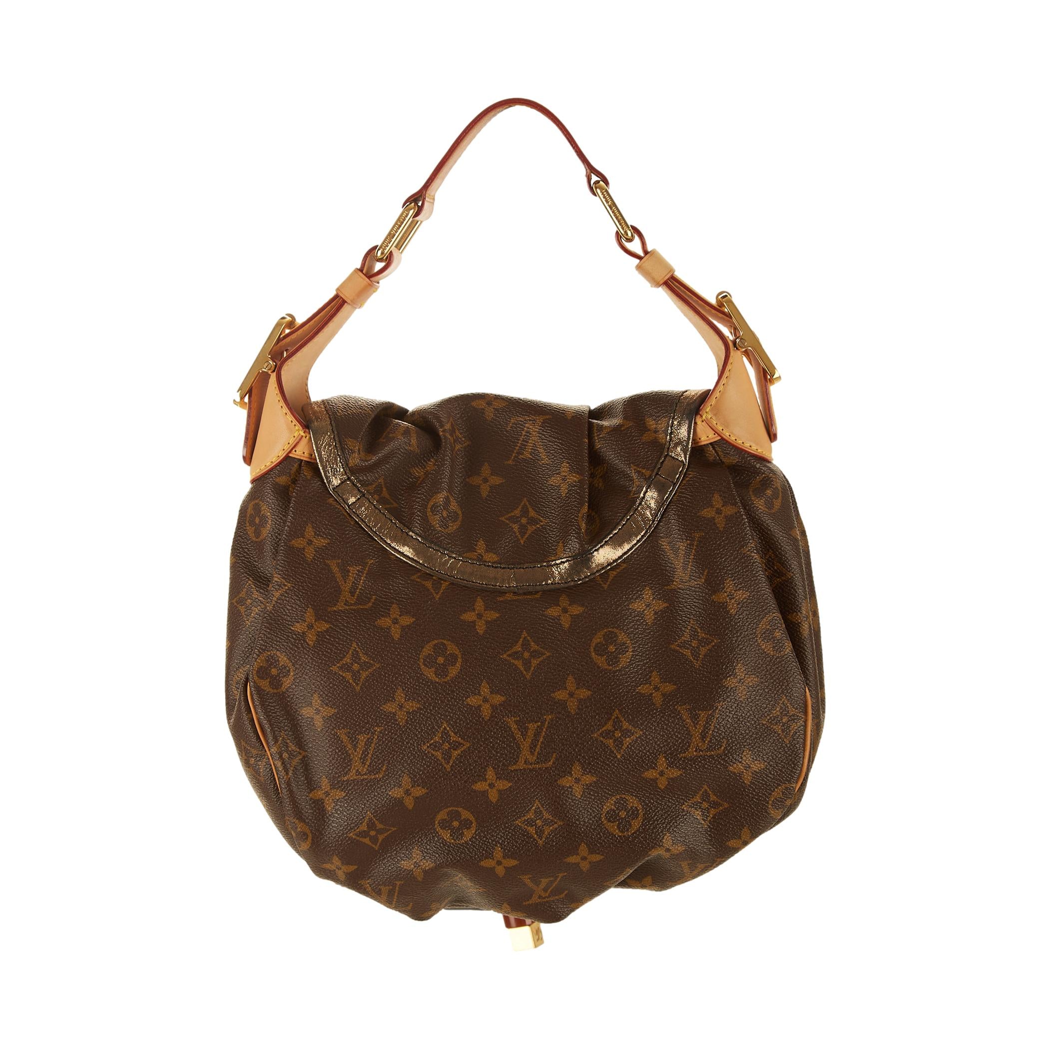 Leather bag Louis Vuitton Brown in Leather - 31120653
