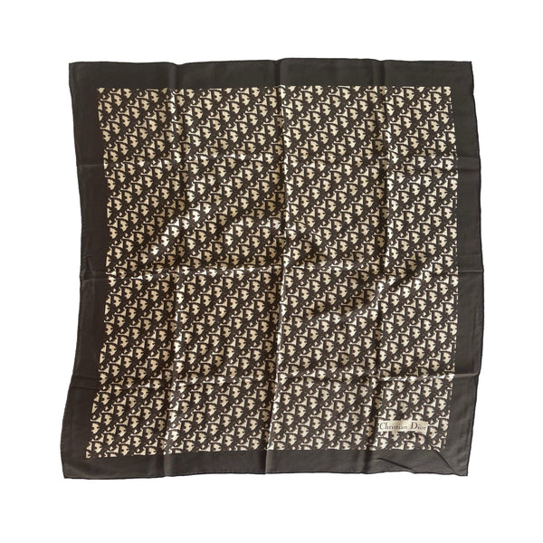 Dior Brown Monogram Scarf - Accessories