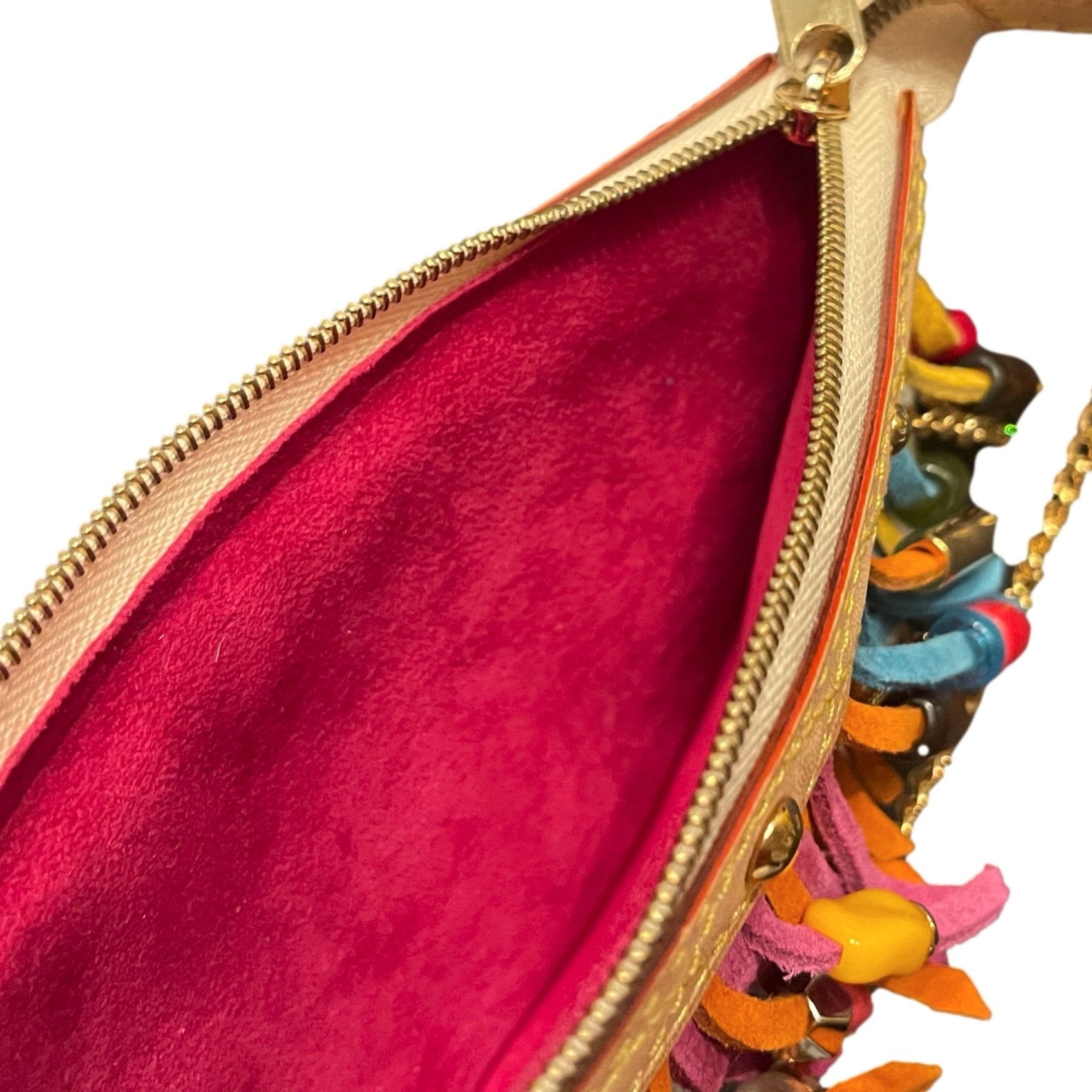 Vintage Louis Vuitton Multicolor Lodge Shoulder Bag – Treasures of NYC